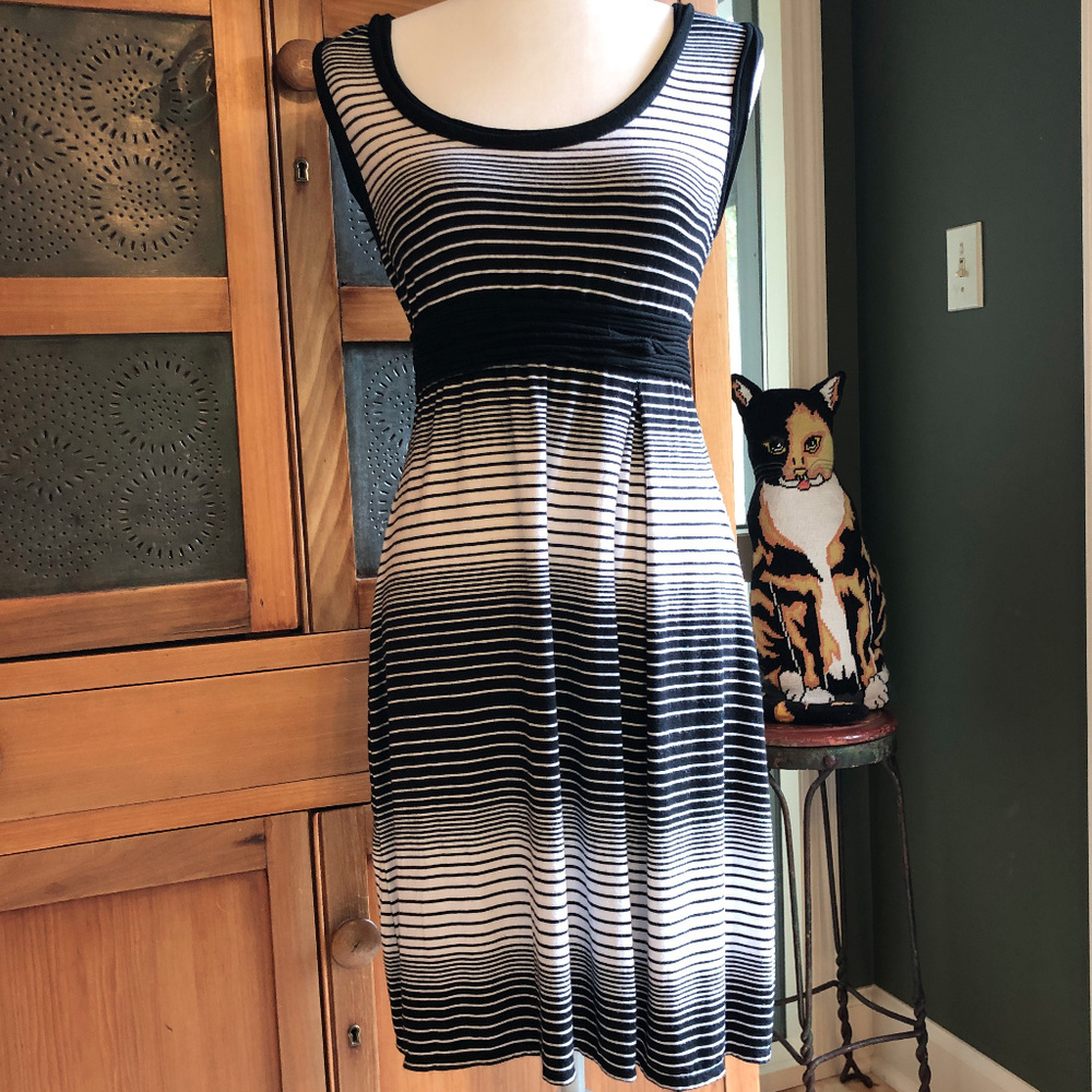 Max Studio Dress